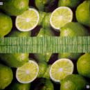 192 Lemons, Oranges - 3-ply - ppd